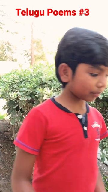 D12589f49cbbaf7ae10f9ade096b6115