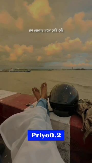 মন বুঝার মত কেউ নেই অথচ ভুল বুঝার মানুষের অভাব নেই। #shorts #shortvideo #short #viral #viralvideo
