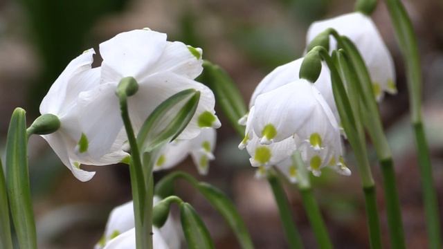 ✪ From Anxiety From Worries And Worries.Very Cool Music ✪