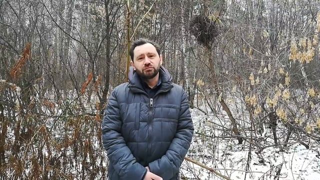 Приглашение на Компрос