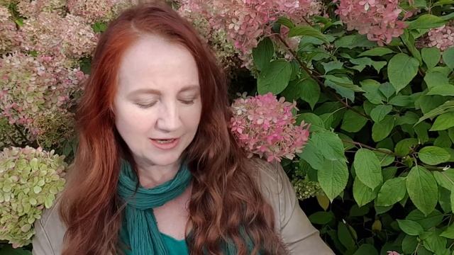 Eb826b840b598a540dc3b5796cd7a34b