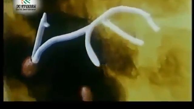 уникальность полисахаридов в Elev8