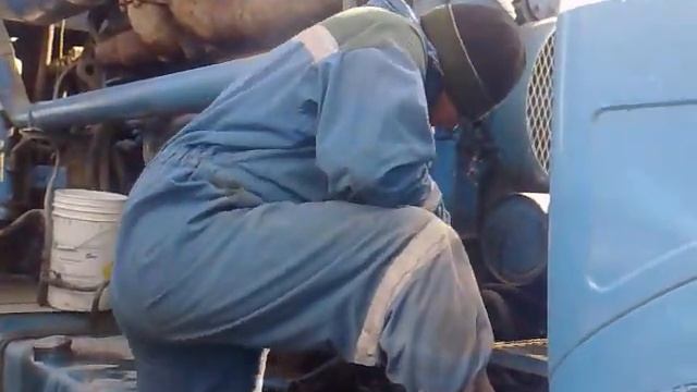 Забота о животных