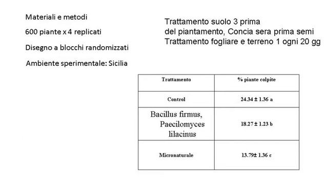 Micronaturale Della Carota