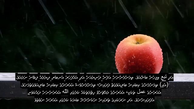 Chapter 2 The Cow, Emotional Quran Recitation, 90+ Language Subtitles | Divehi