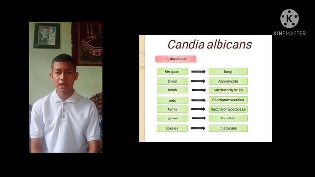 Penjelasan Materi Mikologi