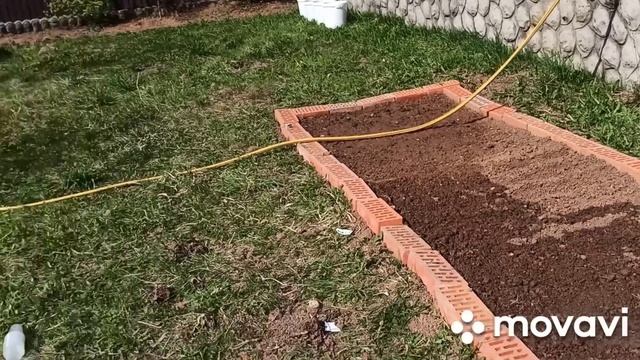 D6c23e000474664a404d269eec292650