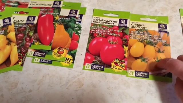 Томаты на 2024 год.