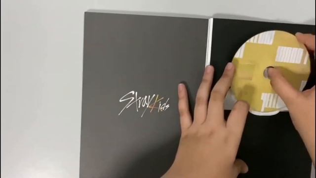 Stray Kids 스트레이키즈 Album Haul || Signed CDs🤯‼️