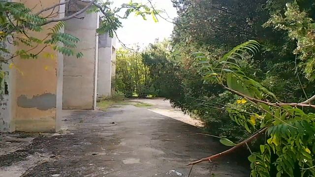 Евпатория, Чайка, - Наш номер!?