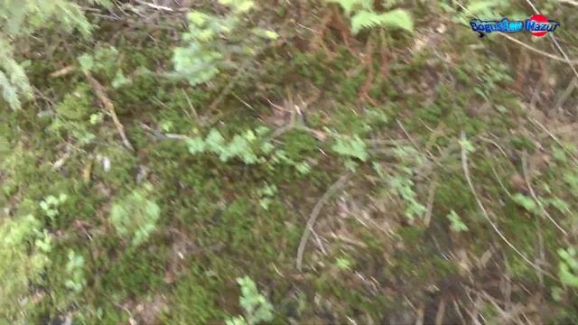 85d0c435d3b18eaee5ea282eca2ee6c7