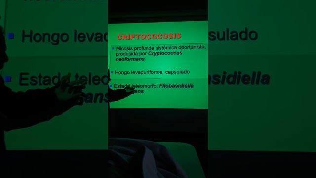 Micosis Sistémicas Parte 2 Dr Diaz Microbiología  UNFV