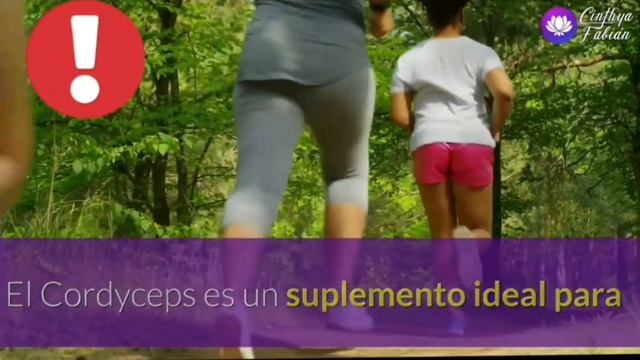 💚Beneficios Demostrados Para La Salud. Cordyceps Sinensis👏