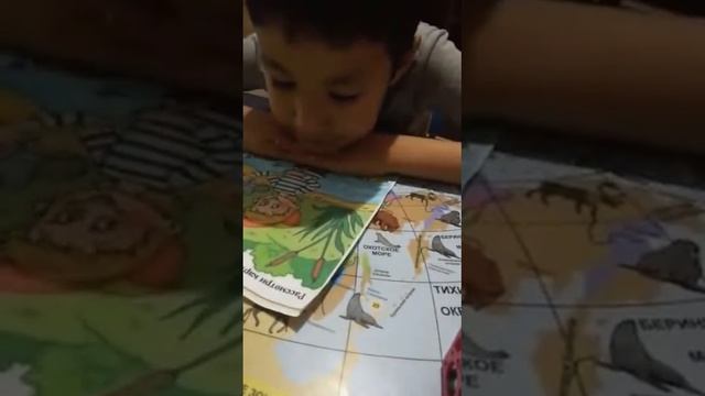 Ахан, составление предложений по картинке. 16 августа 2019 г.