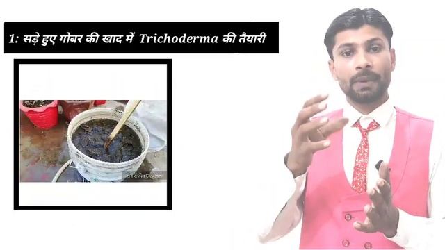 ट्राइकोडर्मा |trichoderma|  Trichoderma से Seed Treatment In Hindi / English