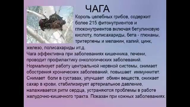 Вы узнаете как прожить на 15 лет больше  Доклад эксперта! Bepic