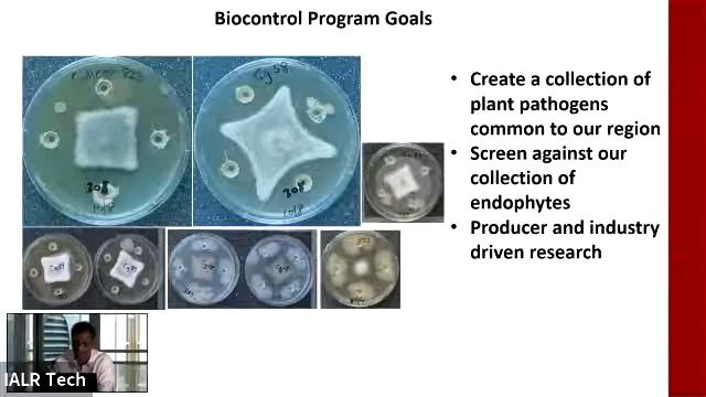 Exploring The Potential Of Beneficial Bacterial Endophytes For Disease Control