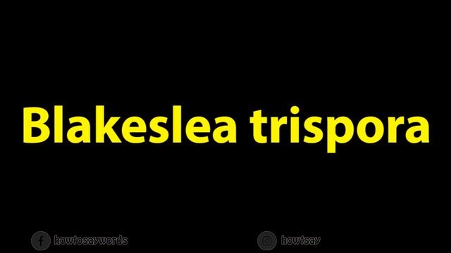 How To Pronounce Blakeslea Trispora