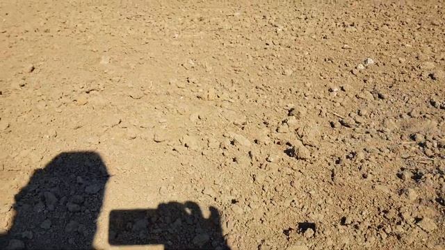 КЕМ Деструкція Байкал КЕМ БІН + Триходерма КЕМ