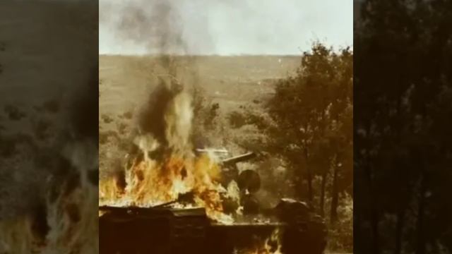 2c378b54055fdd4ee255dc576f975613