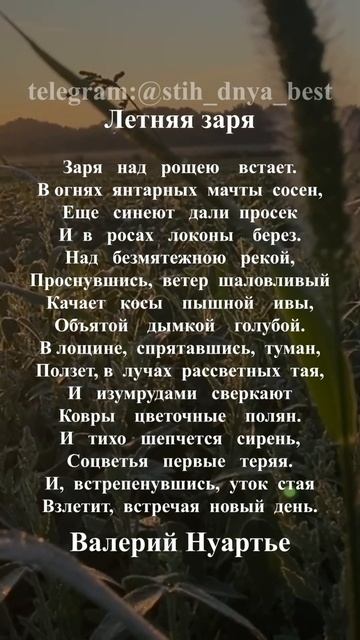 Летняя заря #стихи #стихиолюбви #поэзия #стих