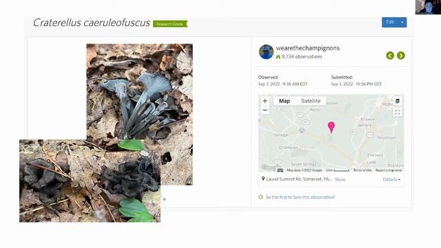 Virtual ID Table And Fall Bingo Announcement - Annie Weissman (MAWDC 10/6/22)