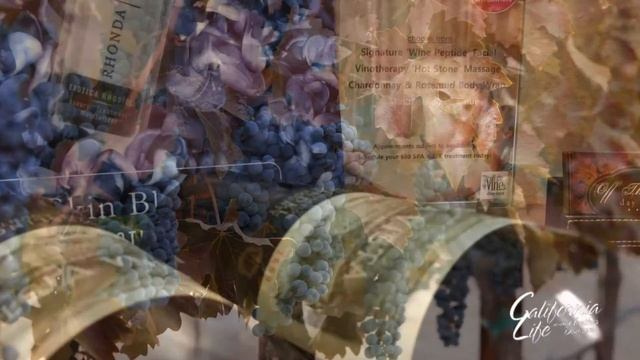 California Life HD | Off The Vine Day Spa-Vinotherapy Explained