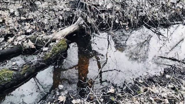 VID 20230416 022721 Только туда где...(Гильвик)...Павел Васильев Лахтинский