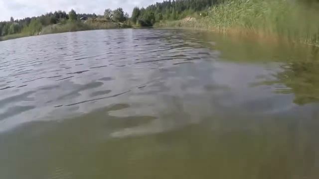 Шапки июль 2018