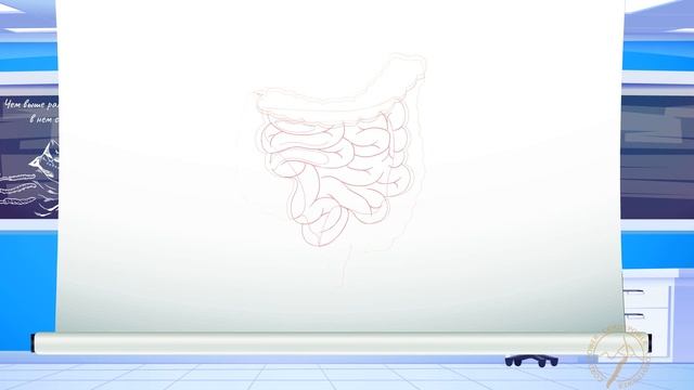 Кордицепс из Бутана CORDYPOWER: в чем польза?