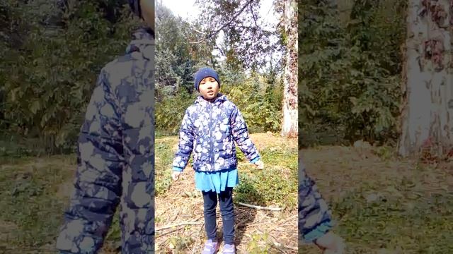 995b970d2596a89e0eb06b46768a8168