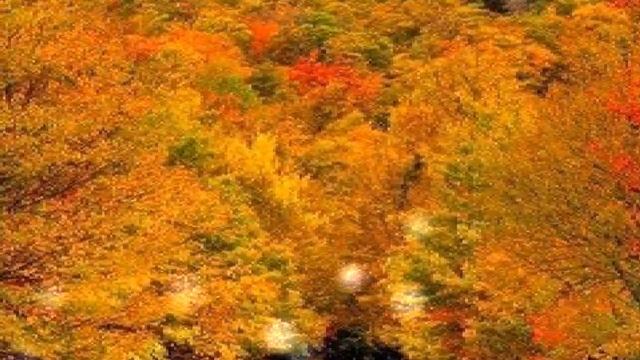 #поэзия  Марина Цветаева