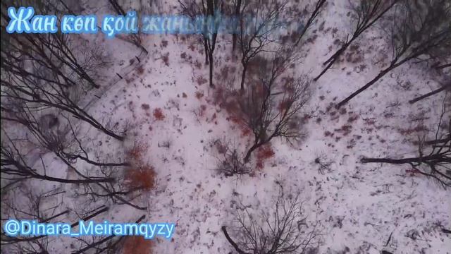 Динара Мейрамқызы - 