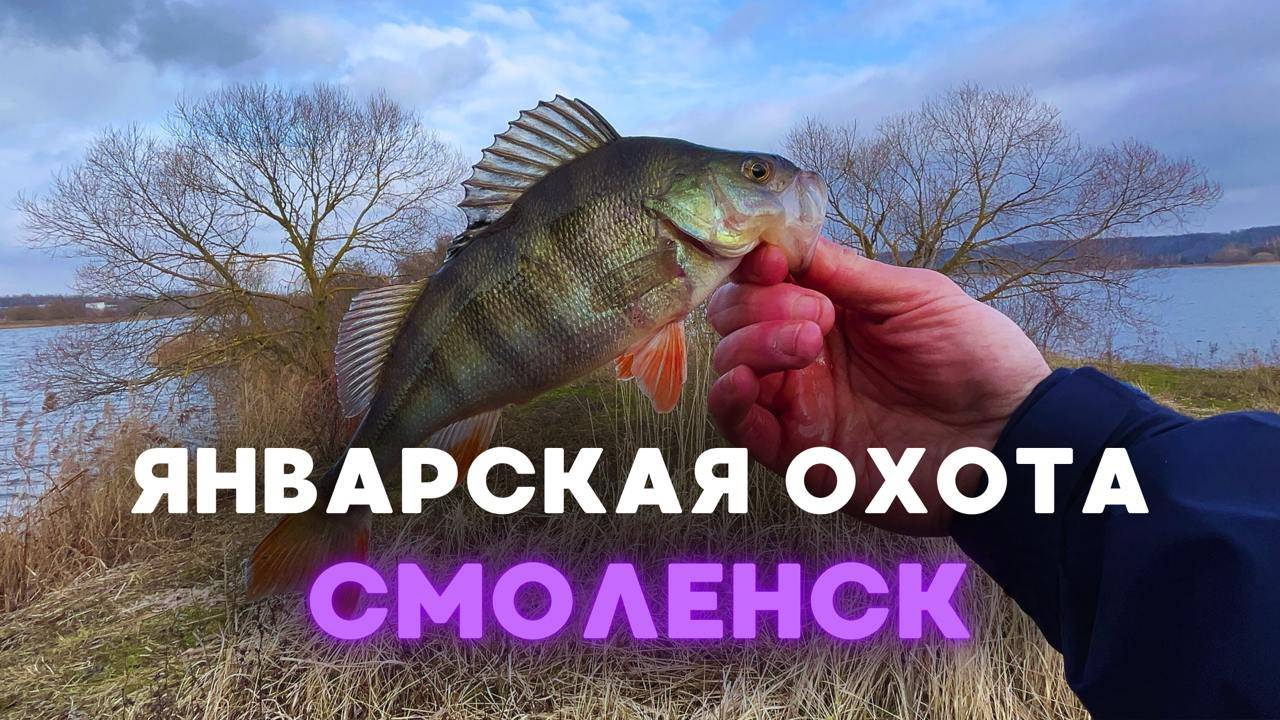 Январская охота. Смоленск