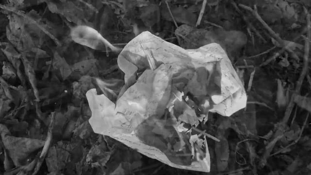 Читаю свои стихи  Я не раба