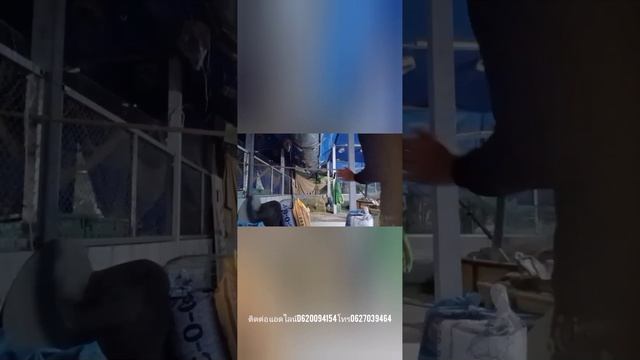 รีวิวงานครับผม