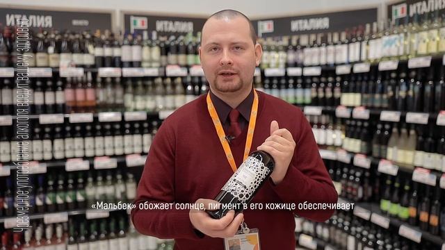 Красное сухое Observer Malbek