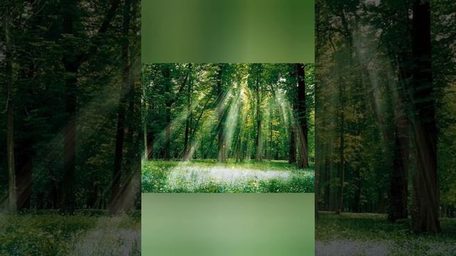 21 березня-Всесвітній день поезії.