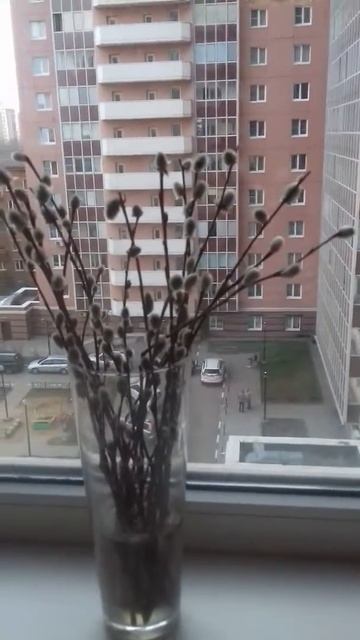 стих про вербу👍💗.