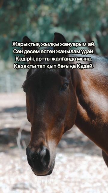 Жылқы. Дәулеткерей Кәпұлы #поэзия #жылқы