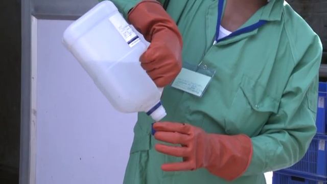 Oyster Mushroom Cultivation