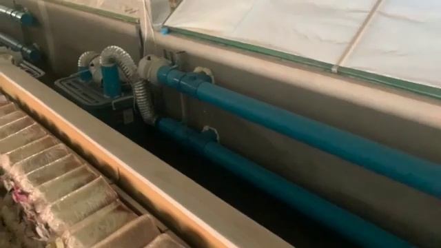 HOW TO BUILD A MUSHROOM GROW ROOM