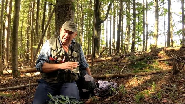 Білі гриби  - дивись і насолоджуйся!