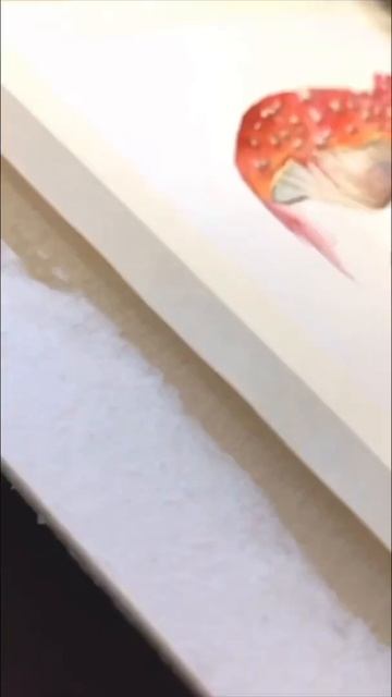 Мои акварельные грибы