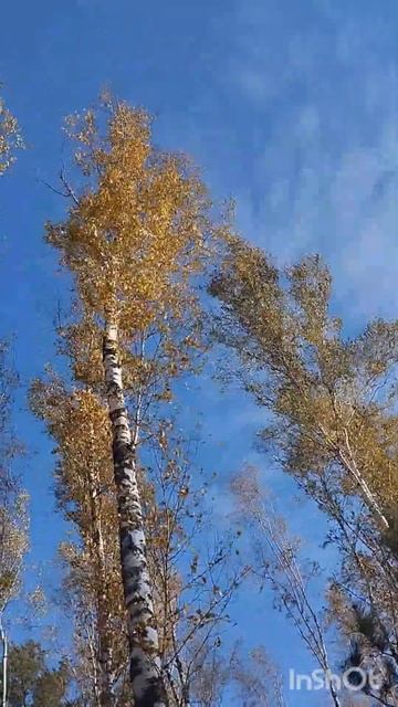 B27186d6fc23bb864a48e3b11bc15f21