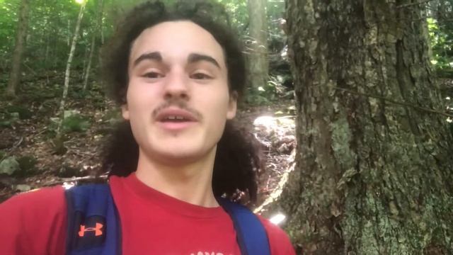 Hunting For Cordycep Militaris Mushrooms