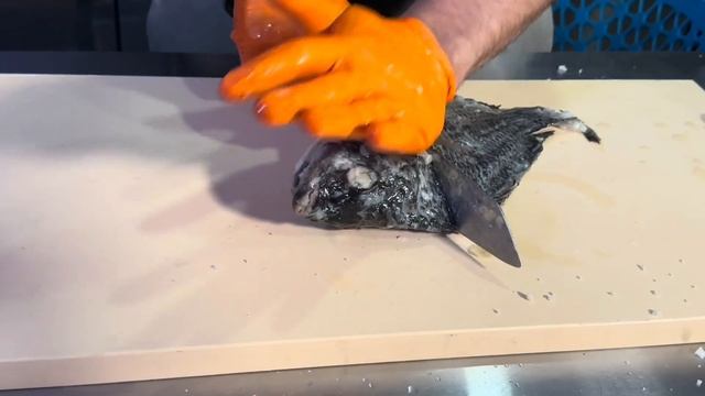 Aquí Está‼️ La SALSA DE SOYA Fermentada 16 Meses… Y Ahora? 🍶