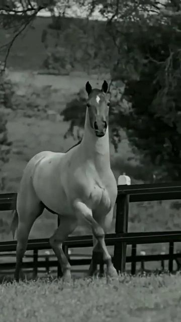 C97119aa40ee8a9b19cbe1e03b24b398