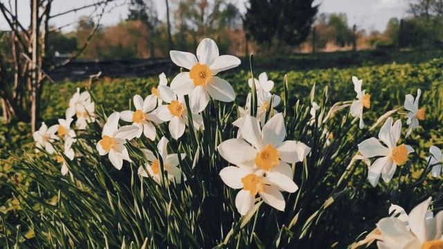 E292c6bf2bfab585d527d1e37ba3172c