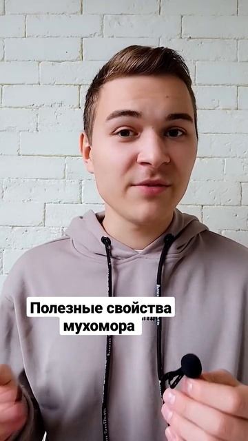 E7eb2823c60b9086583b1b66a348913d